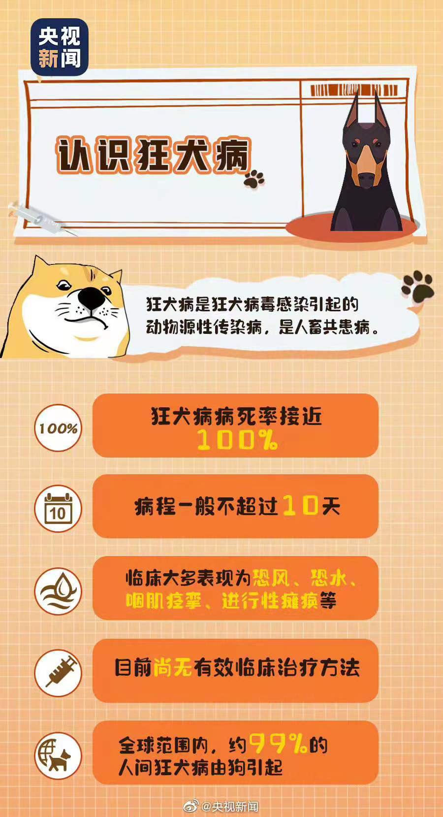 9·28世界狂犬病日：今年的宣传主题是“知真相，不恐狂”