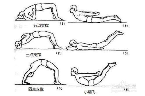 腰椎压缩性骨折锻炼图图片