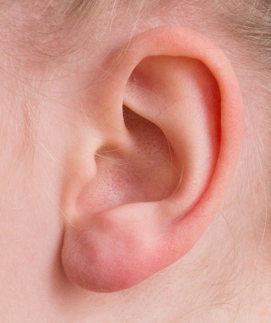 Cell 子刊：不仅助眠，白噪音还可以改善听力