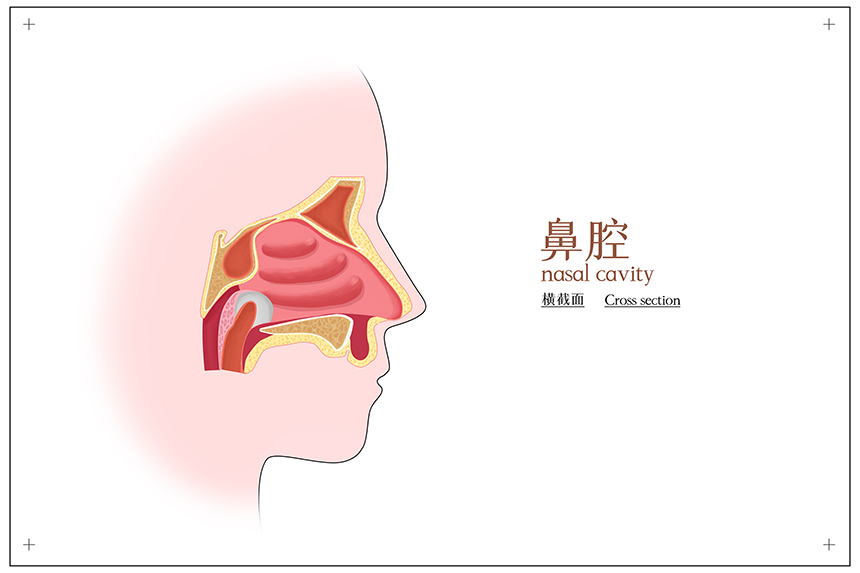 爱鼻护鼻“三不要”